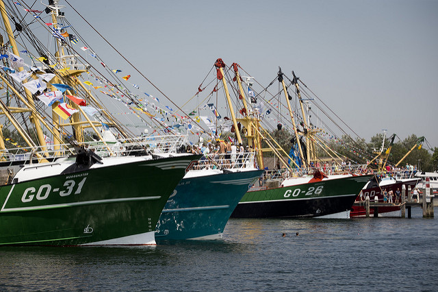 Dutch fishing vessels