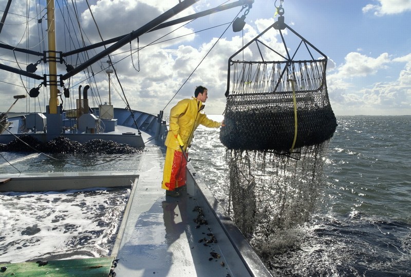 Duurzame visserij