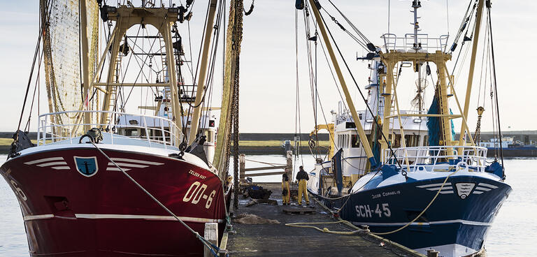 Schepen in haven